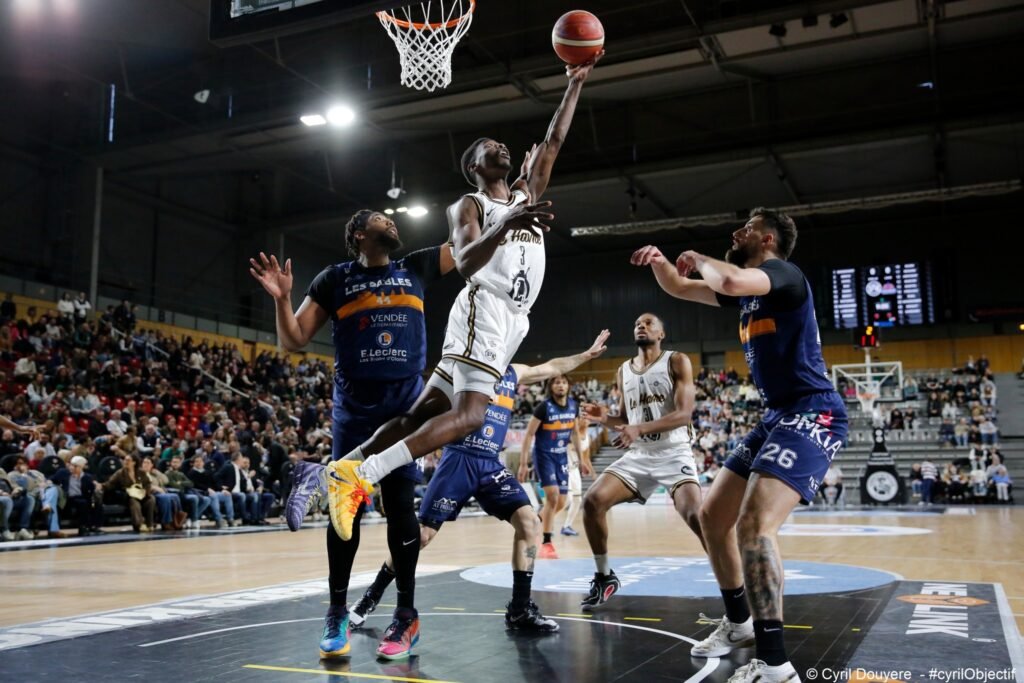 Steven Cayol - STB - Le Havre - NM1 - FFBB