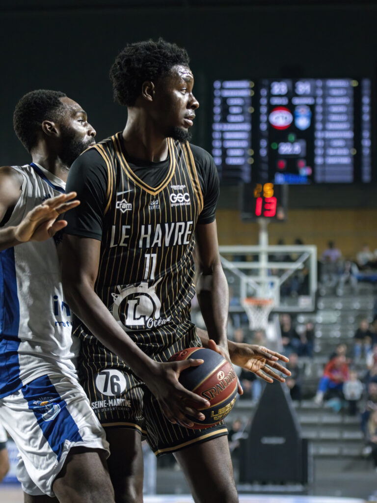 STB Le Havre - Saint-Thomas Basket - Le Havre - LNB - Elite 2 - Pro B - sports - basket-ball - basket - doyens.fr - hacmen.fr - Paris-Normandie - BeBasket