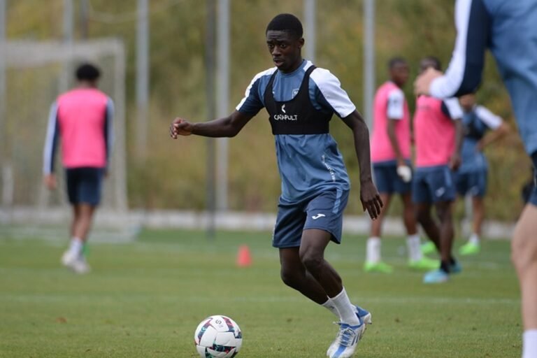 HAC - Le Havre AC - Ligue 1 McDonalds - Ligue 1 - reprise - entraînement - mercato - transferts hacmen.fr - hac-foot.com - Mathieu Bodmer - Infos HAC - Space HAC - Paris-Normandie - Saël Kumbedi - OL - Wolfsburg