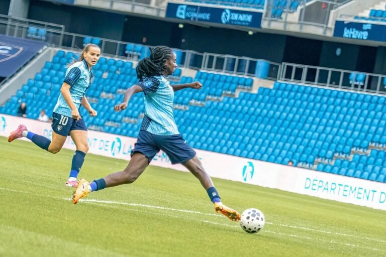 HAC - Le Havre AC - Havre AC - Arkema Première Ligue - Arkema PL - Damien Patard - hac-foot.com - hacmen.fr - Infos HAC - ASSE - AS Saint-Etienne - Saint-Etienne -Doyens Le Média