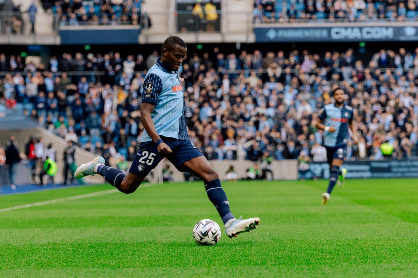 HAC-OL : Nos coups de cœur et nos déceptions !